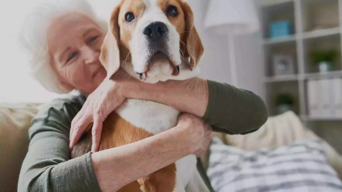 The Role of Pets in Enhancing Senior Health