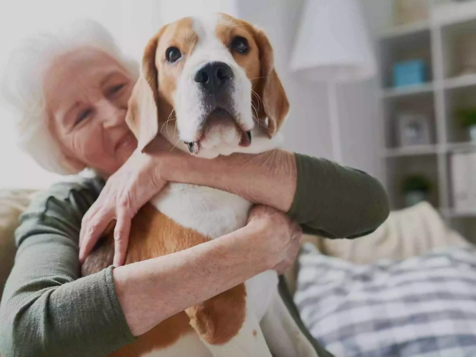 The Role of Pets in Enhancing Senior Health